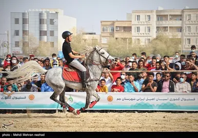 دومین فستیوال کشوری اسب اصیل ایرانی در بوشهر
