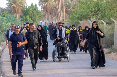 زائران پیاده اربعین در مسیر کربلا
