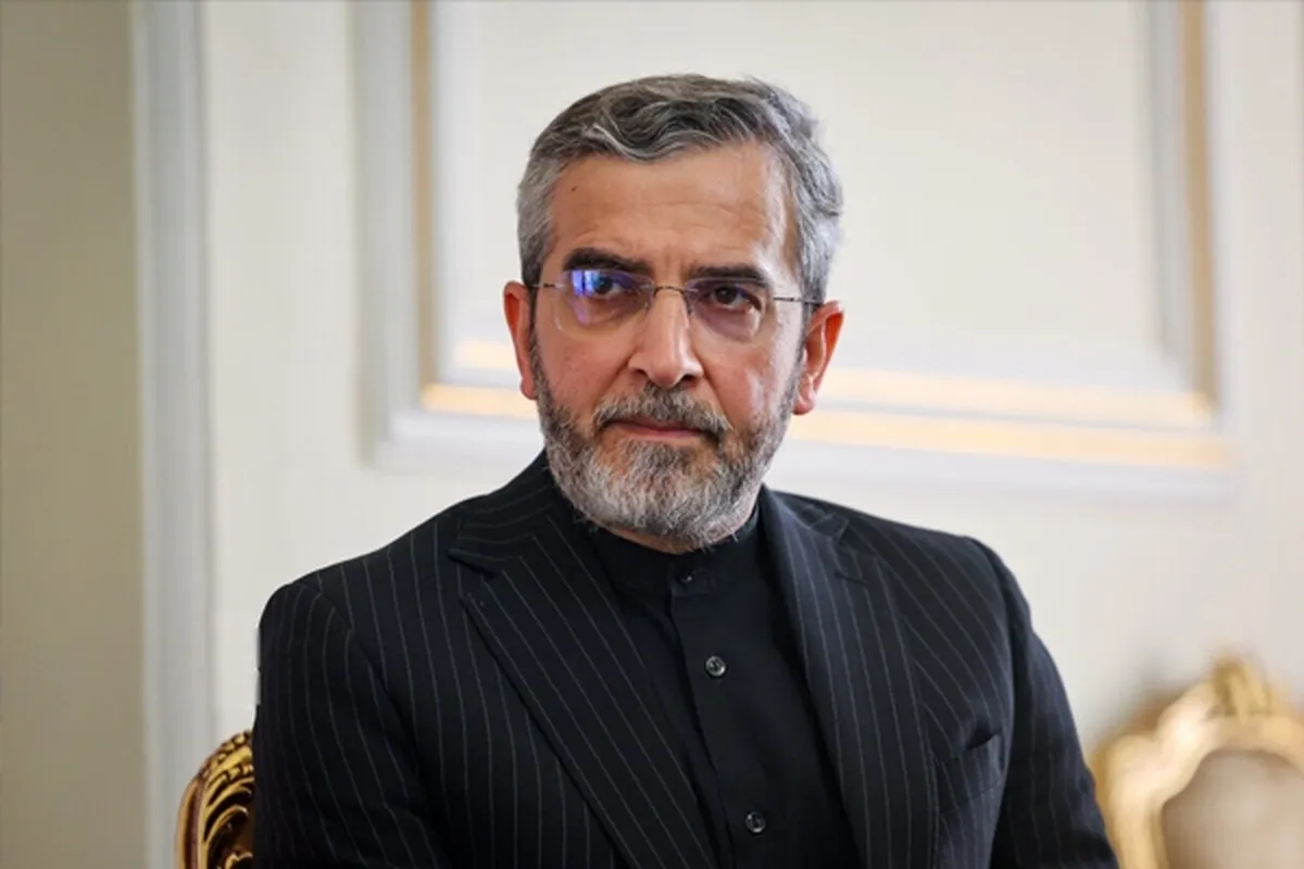 باقری: ایران و ترکیه شرکای پایدار در منطقه هستند | بازدارندگی پوشالی اسرائیل با «وعده صادق» عیان شد