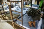 یلدا، زیر سقف همدلی مددسرا | خادمان شهر، مهمان همشهریان بی‌خانمان در جشن «یلدای بی‌پناهان» + فیلم