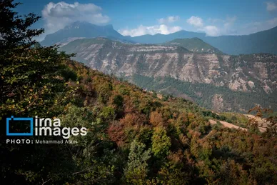 گزارش تصویری | خشکسالی در جنگل‌های هیرکانی گلستان