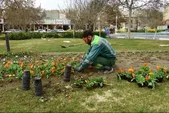معاون شهردار مشهد: الگوی کاشت فضای سبز مشهد به‌تدریج تغییر می‌کند