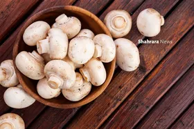 دانستنی&zwnj;هایی برای کودکان | &laquo;قارچ&raquo; و &laquo;بامیه&raquo;؛ دو خوراکی پرفایده
