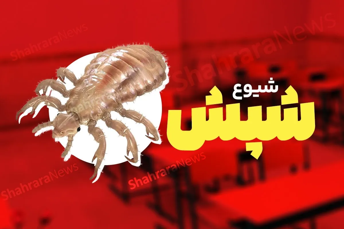 توصیه‌های طب ایرانی و مکمل در مراقبت و رفع شپش