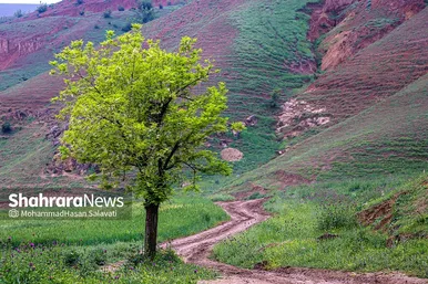 طبیعت زیبای ترکمن صحرا