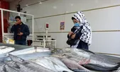 شور زندگی زنان در شهرک عرب‌ها!