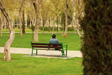 روز طبیعت در باغ وکیل‌آباد و پارک ملت مشهد