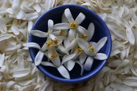 بهارنارنج چه خواصی دارد؟