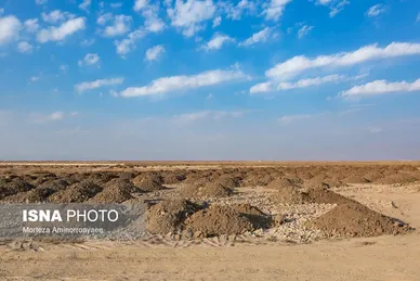 گزارش تصویری | بحران زمین و آب در قلب خراسان
