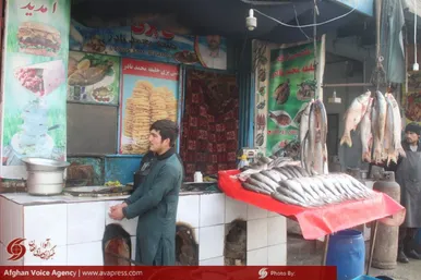 ماهی فروشان مزارشریف