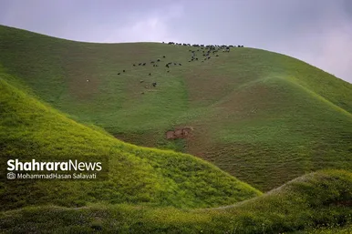 طبیعت زیبای ترکمن صحرا
