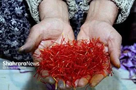 کشف ۵۷ کیلوگرم زعفران تقلبی در طرقبه&zwnj;شاندیز (۱۵ آبان ۱۴۰۳)