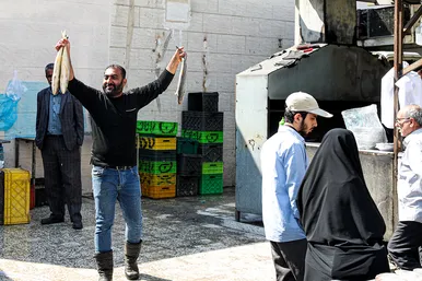 بازار ماهی فروشان در شهرک عربهای مشهد