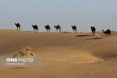 ایران زیباست | «کویر مصر»