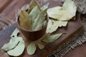از خواص برگ بو برای سلامتی پوست چه می&zwnj;دانید؟