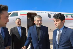 باقری: در ادامه دیپلماسی فعال در نشست دی هشت شرکت می&zwnj;کنیم
