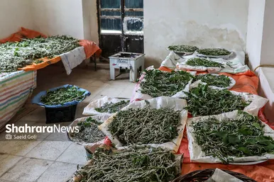 ابریشم کشی در بایگ
