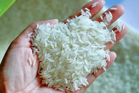 قیمت برنج ایرانی در بازار چقدر است؟ (۱۹ شهریور ۱۴۰۴)