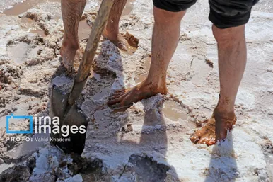 گزارش تصویری | برداشت نمک در دل کویر