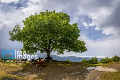 ایران زیباست | ییلاق در کوهستان