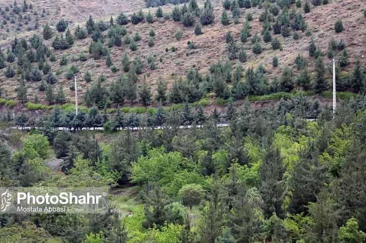 رویکرد اقتصادی در پروژه کوه‌پارک مشهد وجود ندارد