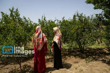 گزارش تصویری | تحصیل در باغ خانه معلم