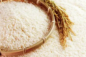 قیمت برنج می&zwnj;شکند