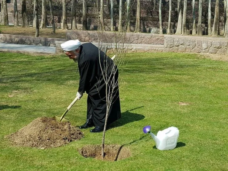 همزمان با روز درختکاری انجام شد؛ 
کاشت نهال توسط رئیس جمهوری