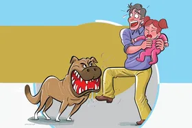 نگاهی به قوانین نگهداری از حیوان خانگی در محیط&zwnj;های شهری| همسایگی در موقعیت آزار