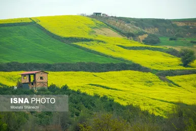 ایران زیباست | طبیعت بهاری روستاهای اطراف ساری