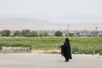 یادی از محله «نیزه» مشهد و نیزار‌های گمشده‌اش