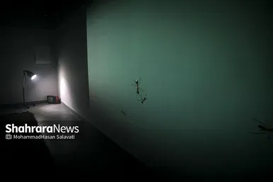 نمایشگاه ویدئوآرت «از دست دادن»