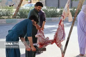 گزارش تصویری | عید قربان در زاهدان