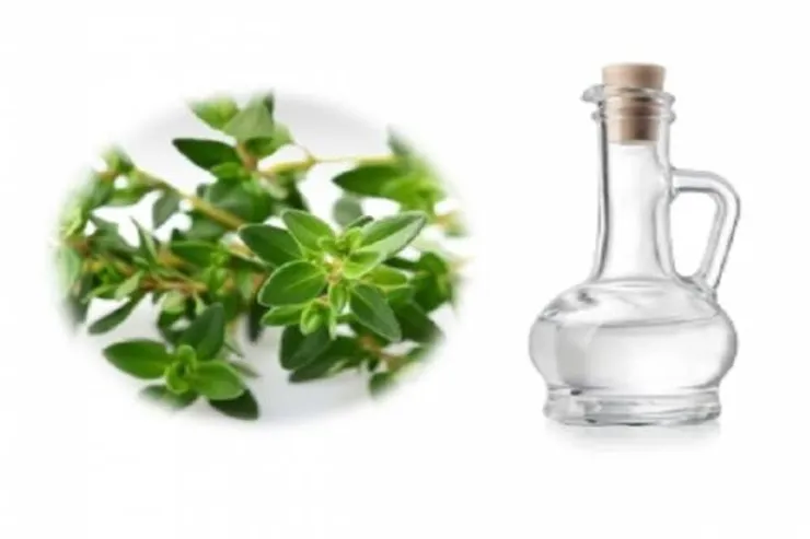 اینفوگرافی| خواص عرق گیاهی آویشن
