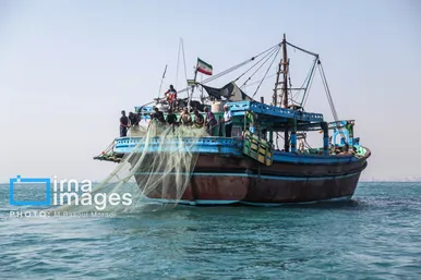 ایران زیباست | صید میگو و ماهی در خلیج فارس