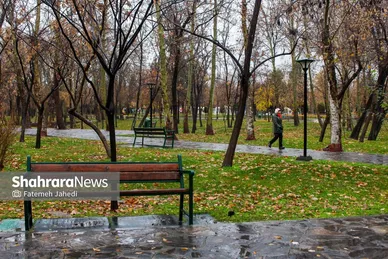 گزارش تصویری | بارش نخستین برف پاییزی در مشهد