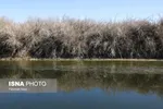 نفس‌های تالاب بین‌المللی «گاوخونی» به شماره افتاد + عکس