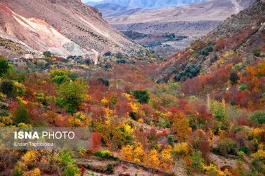 ایران زیباست | پاییز هزار رنگ در روستای «شیت»