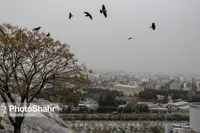 پیش‌بینی هواشناسی مشهد و خراسان رضوی امروز (پنجشنبه، ۱۴ اسفند ۱۴۰۴) | افزایش نسبی دمادر روز‌های ابتدایی هفته آینده