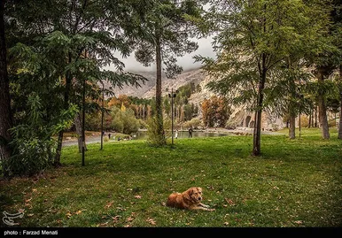 ایران زیباست | طبیعت پاییزی طاق بستان - کرمانشاه