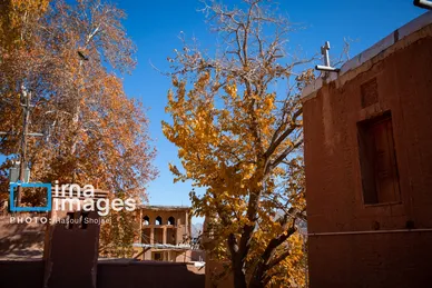ایران زیباست | پائیز در ابیانه