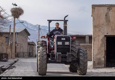 ایران زیباست | همزیستی لک لک‌ها در روستای کپر جودکی بروجرد با مردم روستا