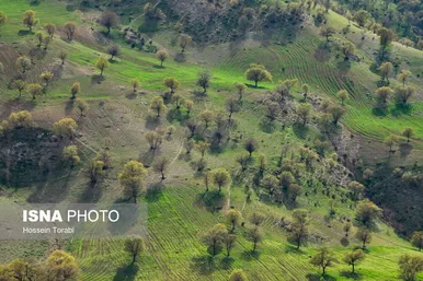 ایران زیباست | طبیعت بهاری چهارمحال و بختیاری