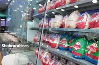 عرضه ۲ هزار تن مرغ منجمد برای تنظیم بازار خراسان رضوی در ایام تشییع قائد شهید امت