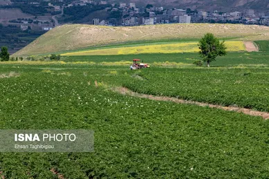 ایران زیباست | طبیعت بهاری «طارُم»، هندوستان ایران