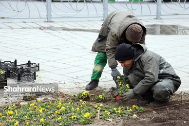 گل‌کاری در نقاط مختلف شهر مشهد