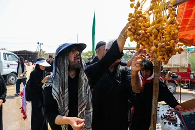 زائران پیاده اربعین در مسیر کربلا