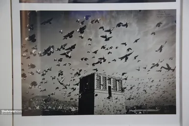 نمایشگاه «از طوس تا پیر هرات» به روایت تصویر