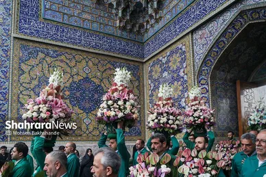 گزارش تصویری | تعویض گل‌های ضریح حرم مطهر امام‌رضا(ع)