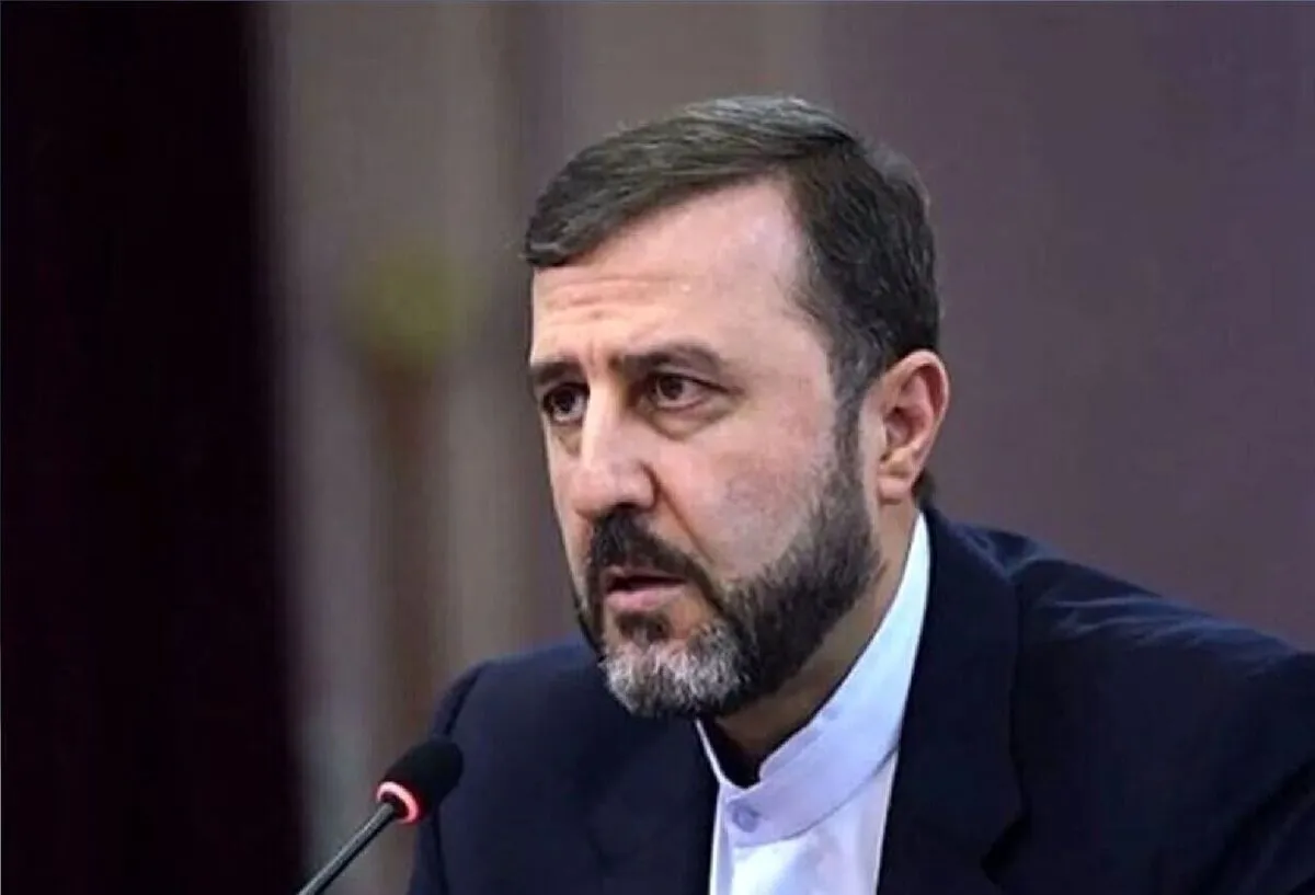 غریب‌آبادی: شورای حکام نباید محل سفیدشویی تجاوز نظامی شود